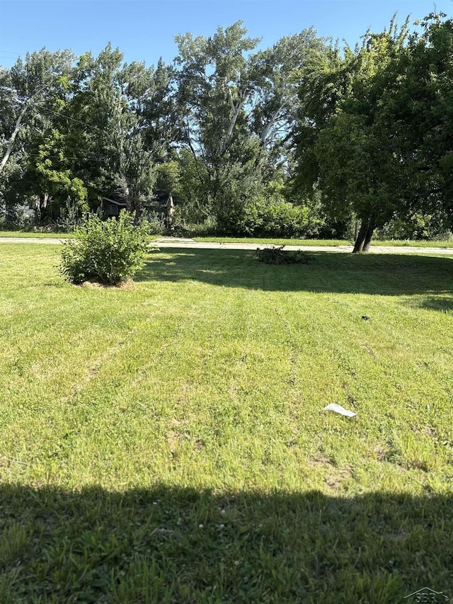 3308 Douglass St, Saginaw, MI 48601 - view of grassy yard