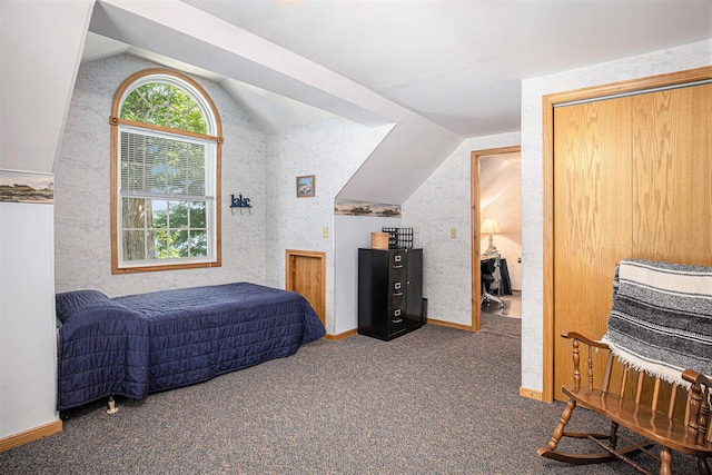 15891 Lakeview Dr, Buchanan, MI 49107 - carpeted bedroom with vaulted ceiling and baseboards