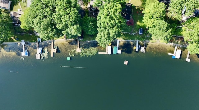 15891 Lakeview Dr, Buchanan, MI 49107 - view of property location featuring a large body of water