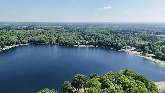 15891 Lakeview Dr, Buchanan, MI 49107 - aerial view of a forest and a large body of water