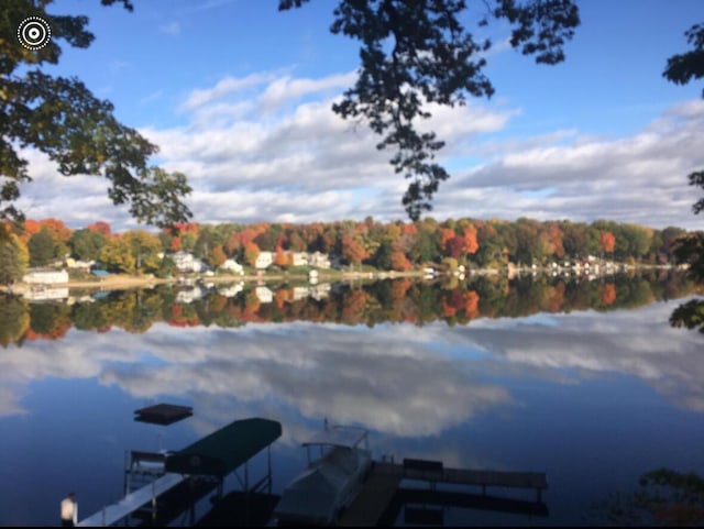 15891 Lakeview Dr, Buchanan, MI 49107 - water view with a boat dock and a forest