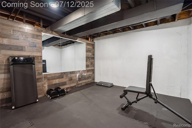 42331 Beacontree Ct, Northville, MI 48168 - exercise area with wood walls