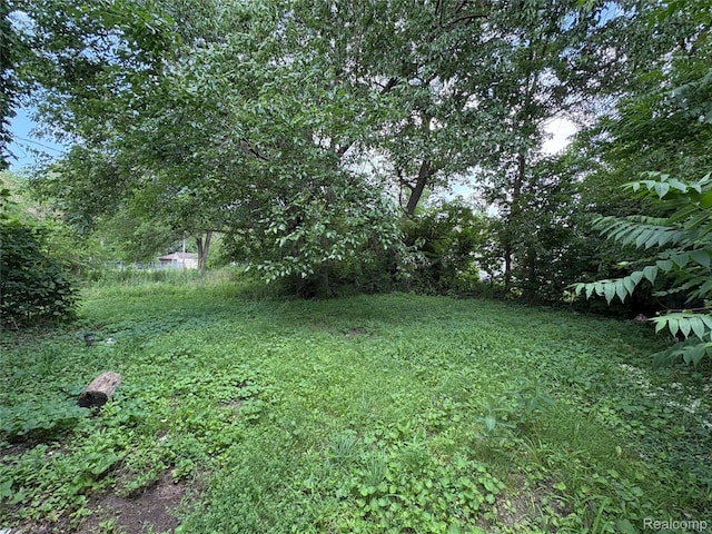 14256 Ohio St, Detroit, MI 48238 - photo 26