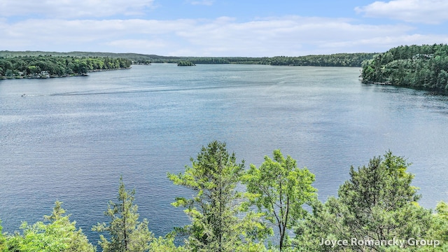 5752 E 52nd St, Newaygo, MI 49337 - water view featuring a forest