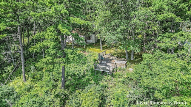 5752 E 52nd St, Newaygo, MI 49337 - view of yard featuring a wooded view