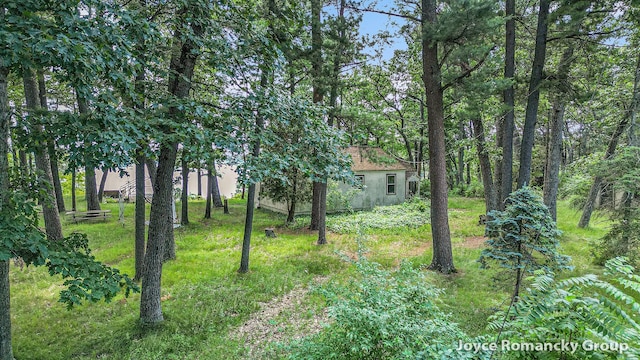 5752 E 52nd St, Newaygo, MI 49337 - view of yard