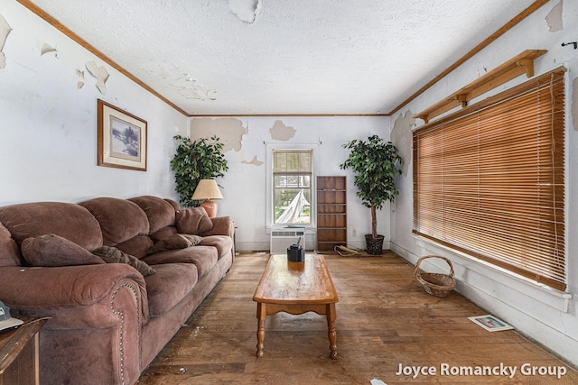 5752 E 52nd St, Newaygo, MI 49337 - living room with wood-type flooring, a textured ceiling, ornamental molding, and cooling unit