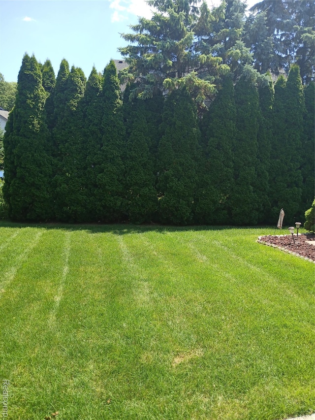 8086 Pickering Pl, Westland, MI 48185 - view of green lawn with a wooded view