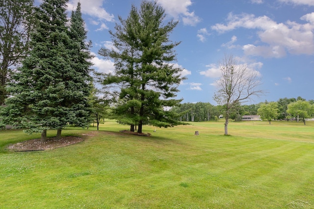 5772 Greensboro Way, Gladwin, MI 48624 - view of home's community featuring a yard