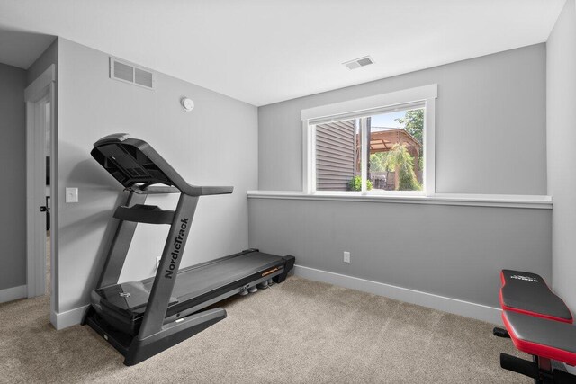 1560 Marksbury Ct, Byron Center, MI 49315 - exercise area with carpet floors and baseboards