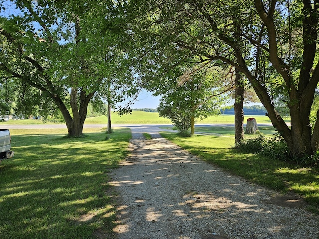 8991 W 1 Mile Rd, Hesperia, MI 49421 - view of property's community featuring a yard