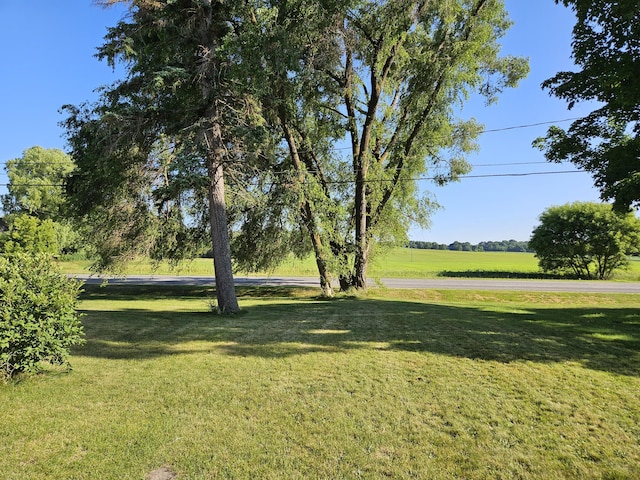 8991 W 1 Mile Rd, Hesperia, MI 49421 - view of green lawn