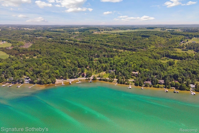 4294 N E Torch Lake Dr, Central Lake, MI 49622 - drone / aerial view of a heavily wooded area and a nearby body of water