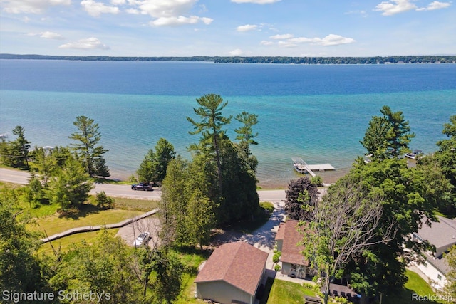 4294 N E Torch Lake Dr, Central Lake, MI 49622 - water view