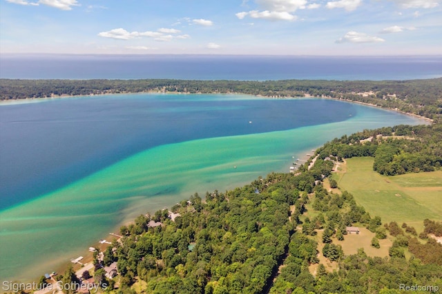 4294 N E Torch Lake Dr, Central Lake, MI 49622 - bird's eye view of a nearby body of water