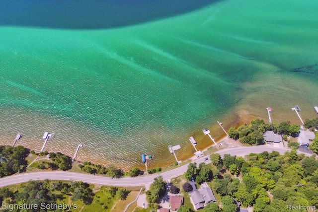4294 N E Torch Lake Dr, Central Lake, MI 49622 - aerial view of property and surrounding area