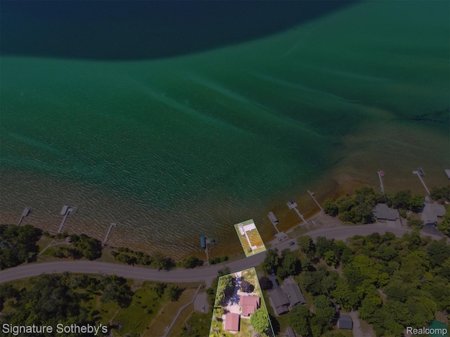 4294 N E Torch Lake Dr, Central Lake, MI 49622 - aerial view of property's location