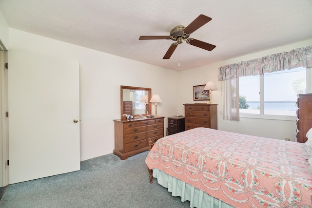 8367 Lake St, Bear Lake, MI 49614 - photo 24