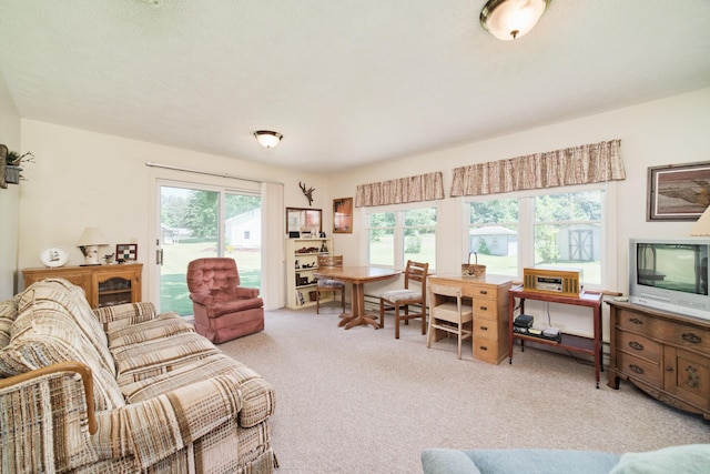 8367 Lake St, Bear Lake, MI 49614 - photo 19
