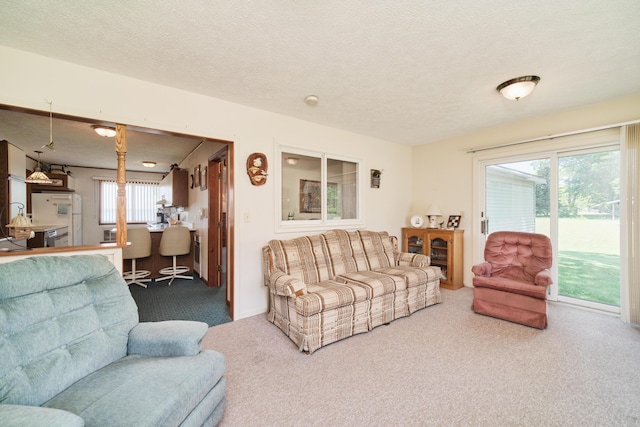 8367 Lake St, Bear Lake, MI 49614 - photo 20