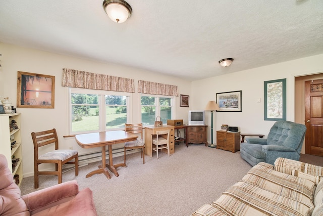 8367 Lake St, Bear Lake, MI 49614 - photo 22
