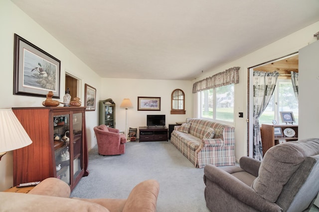 8367 Lake St, Bear Lake, MI 49614 - photo 9