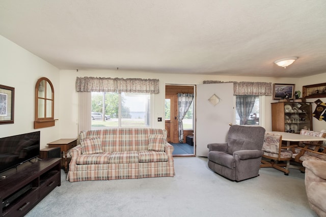 8367 Lake St, Bear Lake, MI 49614 - photo 11