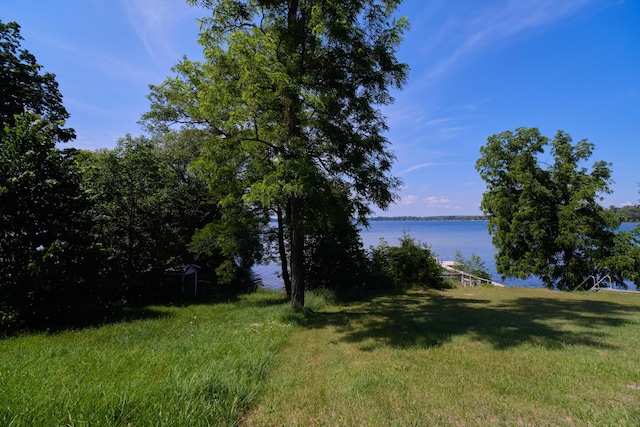 8367 Lake St, Bear Lake, MI 49614 - photo 5