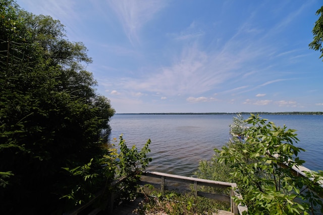 8367 Lake St, Bear Lake, MI 49614 - photo 43