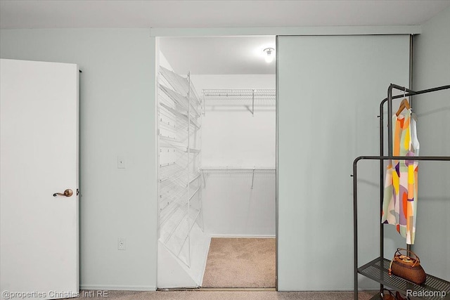 1982 Wickham St, Royal Oak, MI 48073 - spacious closet with carpet floors
