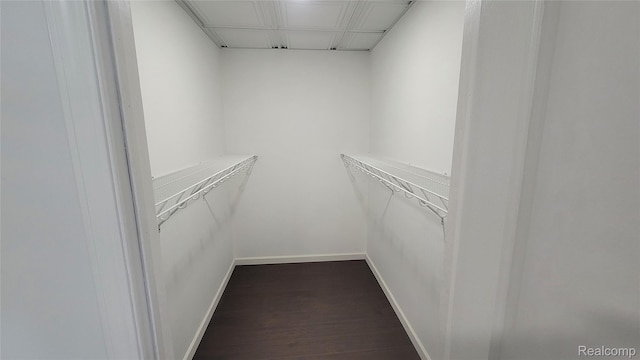 9630 Lambs Rd, Goodells, MI 48027 - spacious closet featuring dark wood finished floors