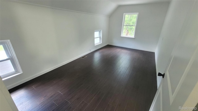 9630 Lambs Rd, Goodells, MI 48027 - additional living space with lofted ceiling and dark wood-style floors