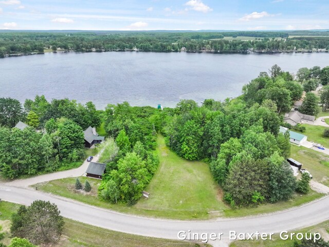 4265 N Shore Dr, Kalkaska, MI 49646