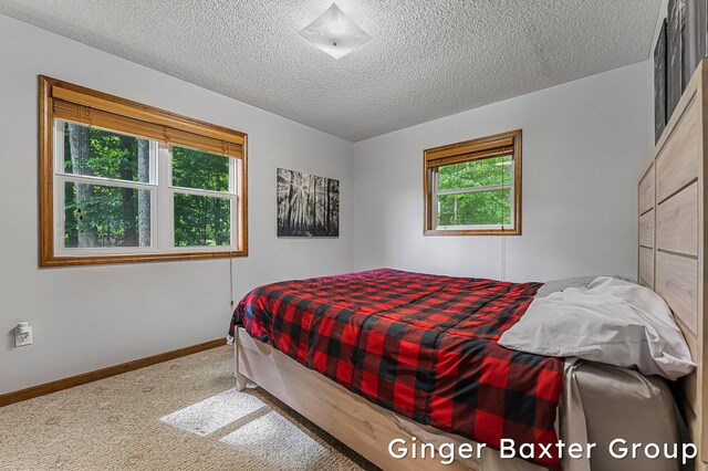 4265 N Shore Dr, Kalkaska, MI 49646