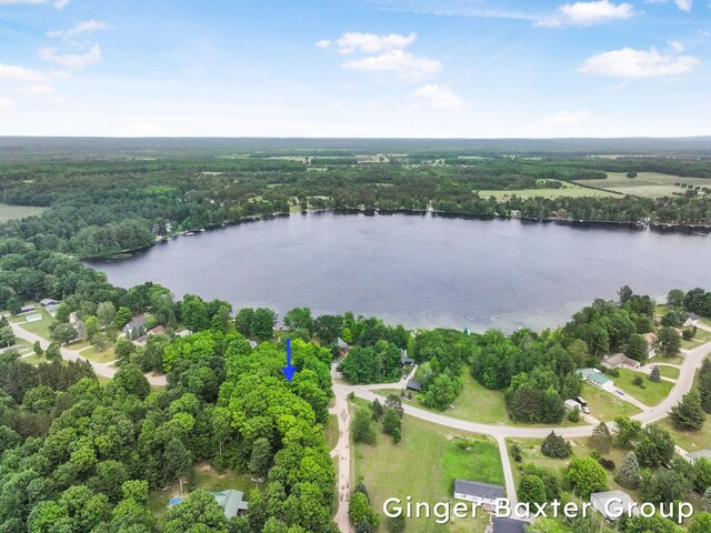 4265 N Shore Dr, Kalkaska, MI 49646