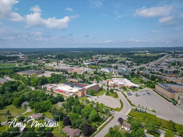 708 Magnolia Ct, Big Rapids, MI 49307 - drone / aerial view