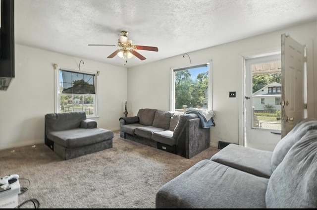 1079 Hurd Ave, Benton Harbor, MI 49022 - carpeted living room featuring healthy amount of natural light, a ceiling fan, and a textured ceiling