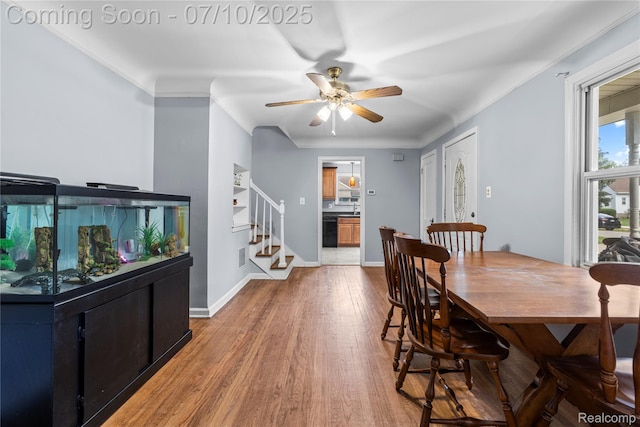 31764 Rosslyn Ave, Garden City, MI 48135 - photo 4