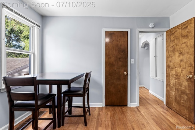 31764 Rosslyn Ave, Garden City, MI 48135 - photo 19