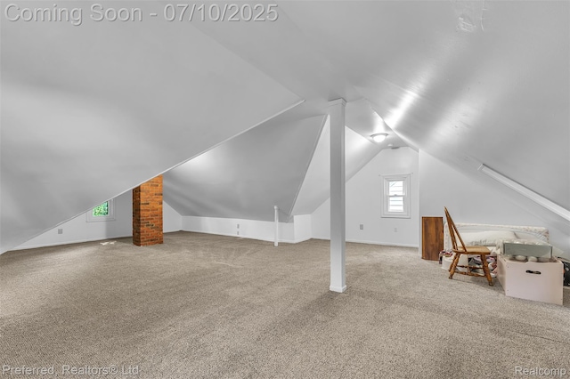9624 Columbia, Redford, MI 48239 - additional living space with carpet and vaulted ceiling