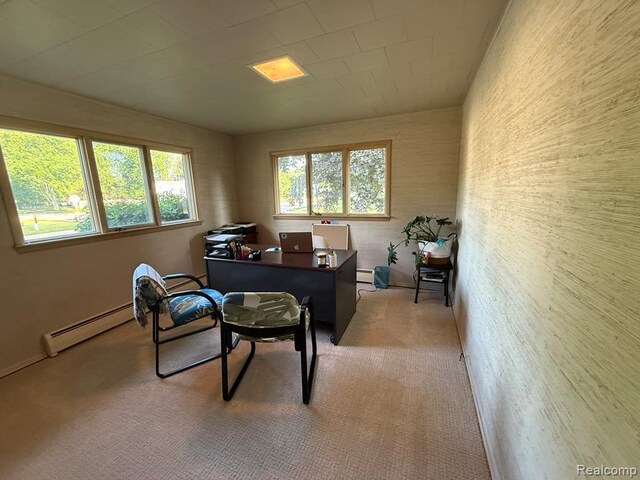 503 Cleveland St, Bad Axe, MI 48413 - photo 19
