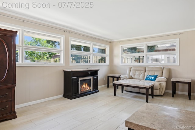 18735 Valade St, Riverview, MI 48193 - living area with a glass covered fireplace and baseboards