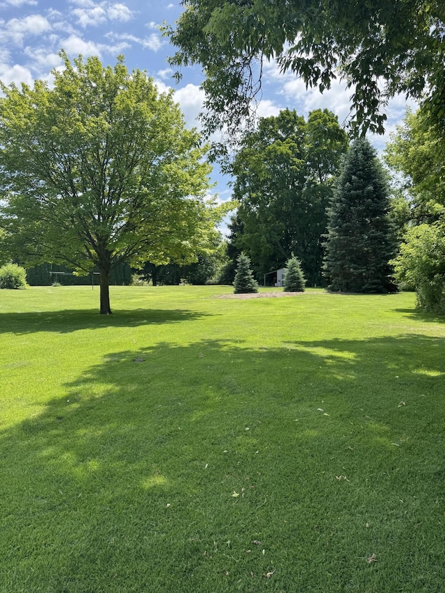 3338 Abbey Rd, Hart, MI 49420 - view of grassy yard