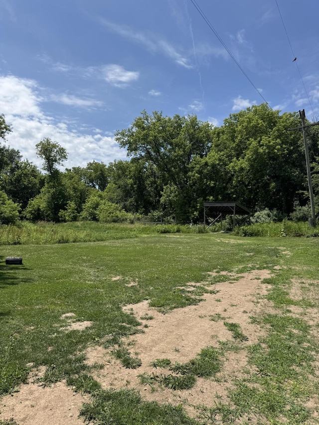 3338 Abbey Rd, Hart, MI 49420 - view of yard