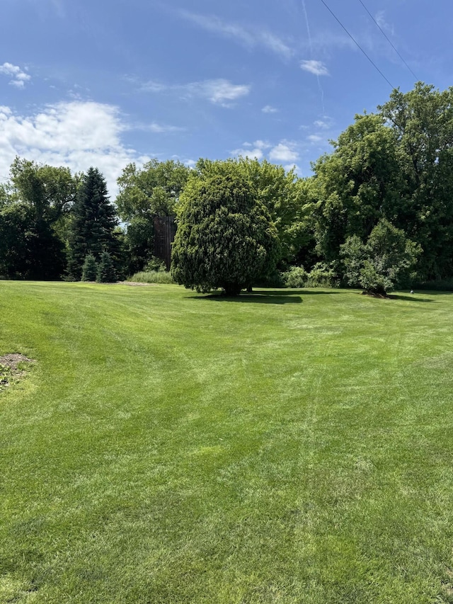 3338 Abbey Rd, Hart, MI 49420 - view of green lawn