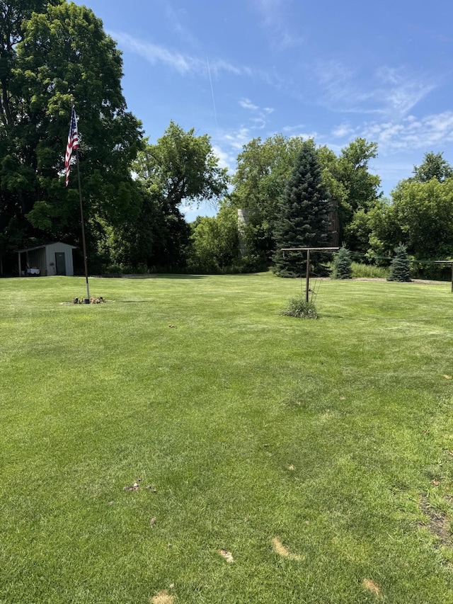 3338 Abbey Rd, Hart, MI 49420 - view of green lawn featuring a shed