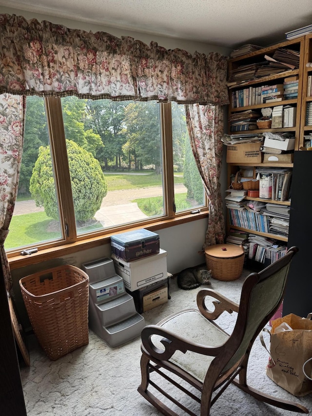 3338 Abbey Rd, Hart, MI 49420 - living area featuring plenty of natural light