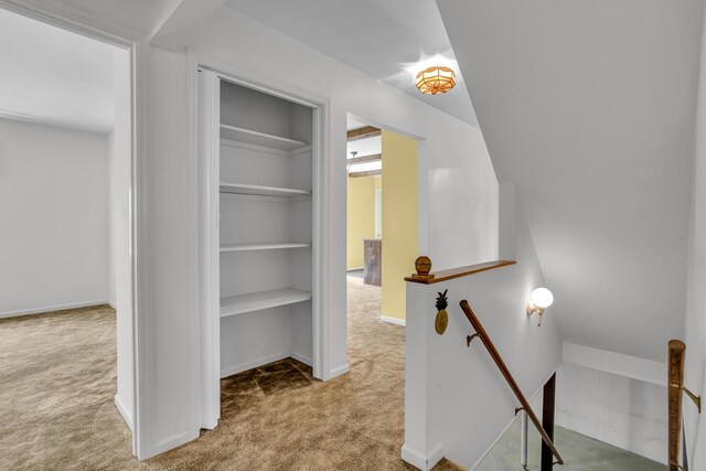 1007 Oak Grove Rd, Jackson, MI 49203 - hallway with an upstairs landing, carpet, and built in features