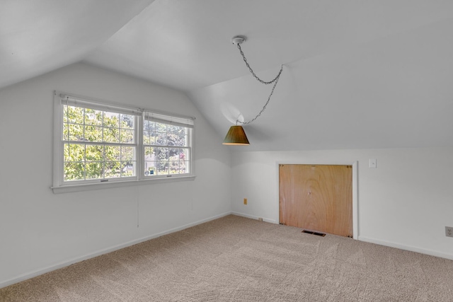 1007 Oak Grove Rd, Jackson, MI 49203 - bonus room featuring vaulted ceiling and carpet floors