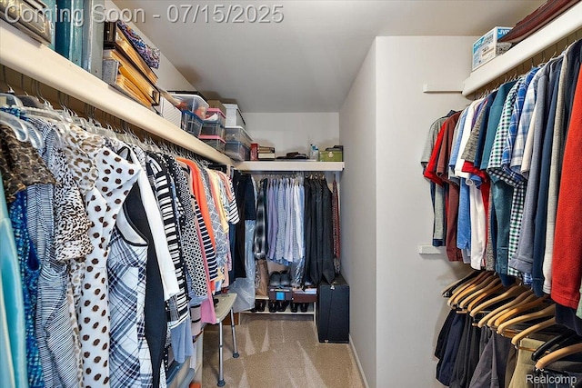 4516 Cahill Dr, Troy, MI 48098 - spacious closet with carpet